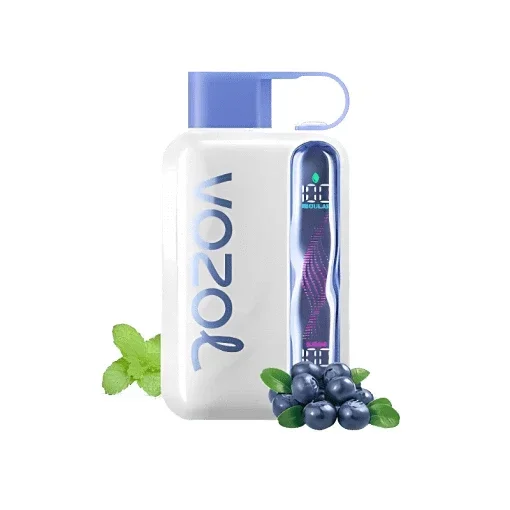 Blueberry Mint – Vozol Star 40000 Disposable Vape