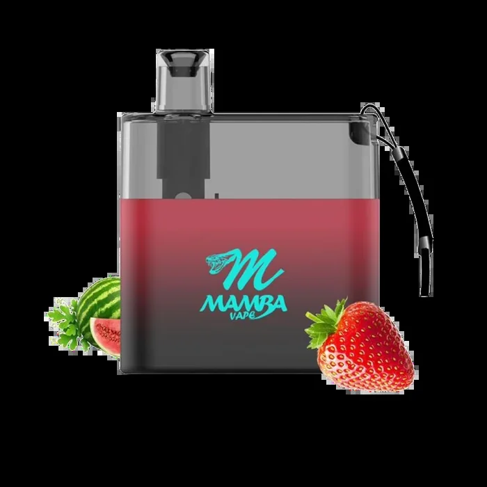 Mamba Rechargeable Disposable Vape Pen – Starting at $4.95 – 3500 PUFFS