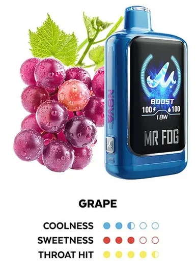 MR FOG NOVA GRAPE 36K PUFFS (BLUE RAZZ STEEZY)