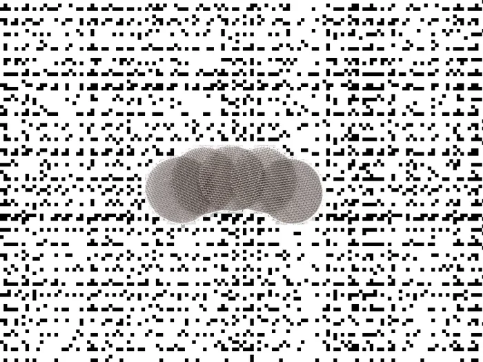 Stainless Steel Mesh Screens